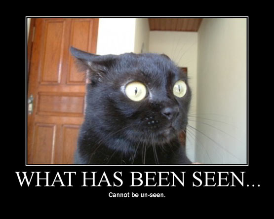 Meme showing a frightened cat with the caption 'what has been seen cannot be unseen'